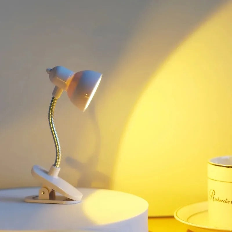 Mini Study Lamp