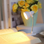 Mini Study Lamp