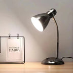 Mini Study Lamp