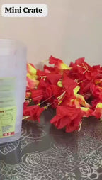 Maxware Household New Arrival Mini Crate 4pcs pack