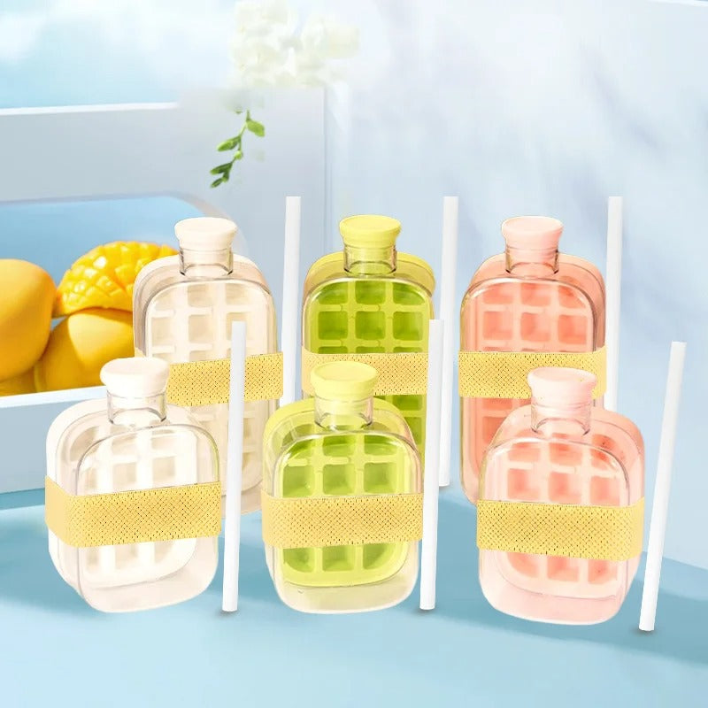 COOL ICE CUBE BOTTLE (500ML)