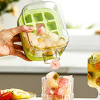 COOL ICE CUBE BOTTLE (500ML)